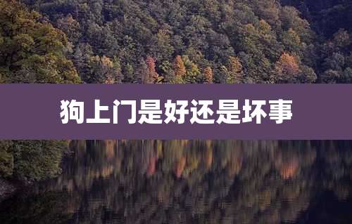 狗上门是好还是坏事