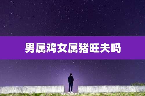 男属鸡女属猪旺夫吗