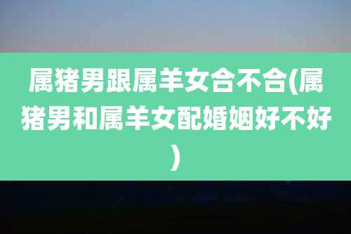 属猪男跟属羊女合不合(属猪男和属羊女配婚姻好不好)