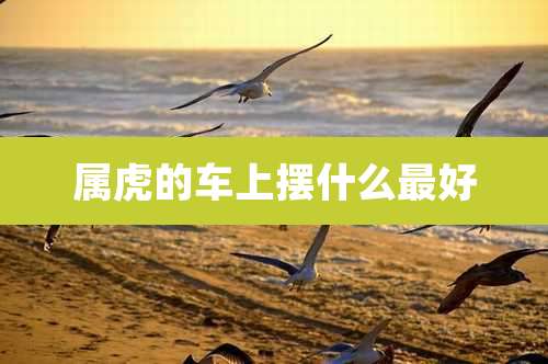 属虎的车上摆什么最好