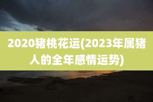 2020猪桃花运(2023年属猪人的全年感情运势)
