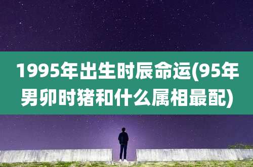 1995年出生时辰命运(95年男卯时猪和什么属相最配)