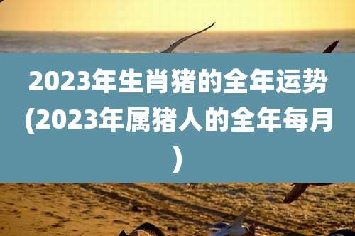 2023年生肖猪的全年运势(2023年属猪人的全年每月)