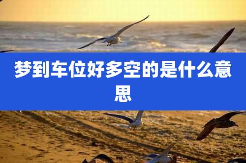 梦到车位好多空的是什么意思
