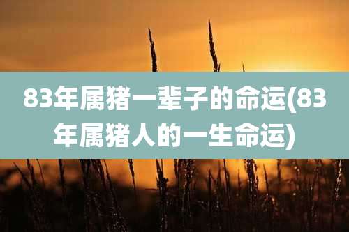 83年属猪一辈子的命运(83年属猪人的一生命运)
