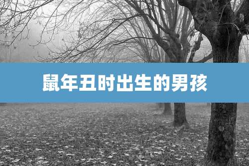 鼠年丑时出生的男孩