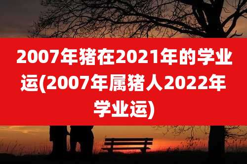 2007年猪在2021年的学业运(2007年属猪人2022年学业运)