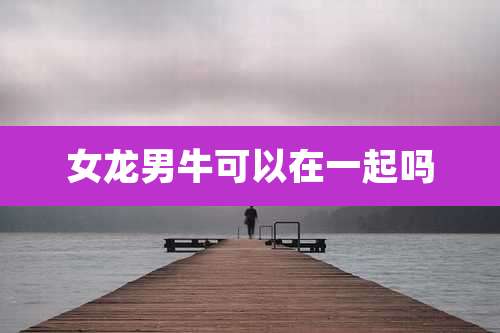 女龙男牛可以在一起吗