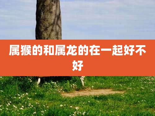 属猴的和属龙的在一起好不好