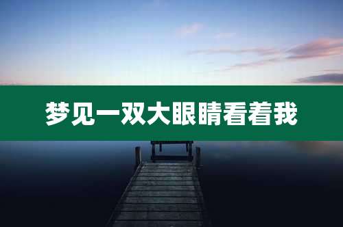 梦见一双大眼睛看着我