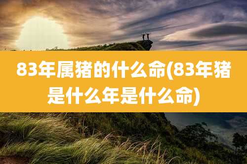 83年属猪的什么命(83年猪是什么年是什么命)