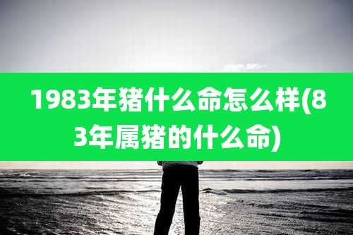 1983年猪什么命怎么样(83年属猪的什么命)