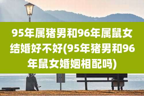 95年属猪男和96年属鼠女结婚好不好(95年猪男和96年鼠女婚姻相配吗)