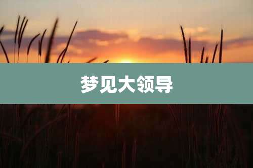梦见大领导