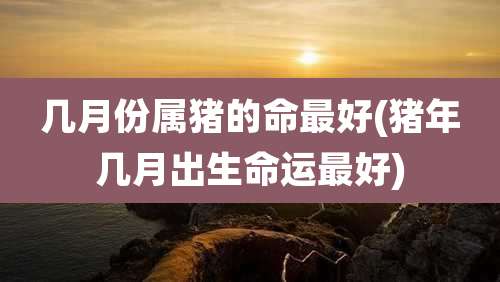 几月份属猪的命最好(猪年几月出生命运最好)