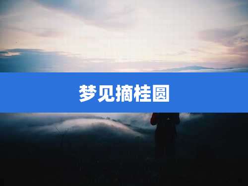 梦见摘桂圆