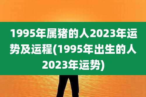 1995年属猪的人2023年运势及运程(1995年出生的人2023年运势)
