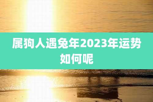 属狗人遇兔年2023年运势如何呢