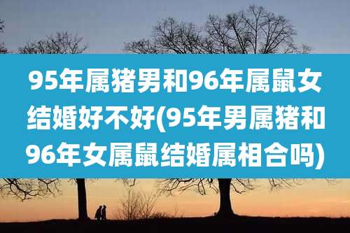 95年属猪男和96年属鼠女结婚好不好(95年男属猪和96年女属鼠结婚属相合吗)