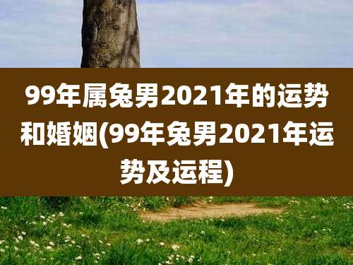 99年属兔男2021年的运势和婚姻(99年兔男2021年运势及运程)