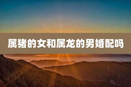 属猪的女和属龙的男婚配吗