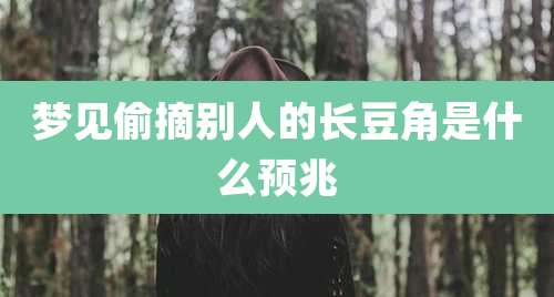 梦见偷摘别人的长豆角是什么预兆