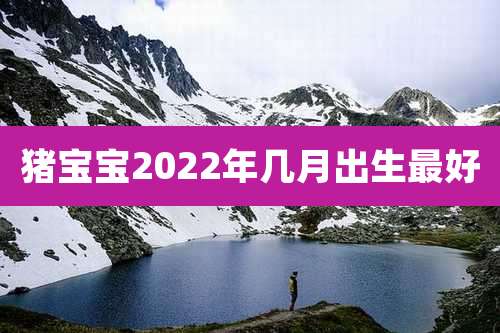 猪宝宝2022年几月出生最好