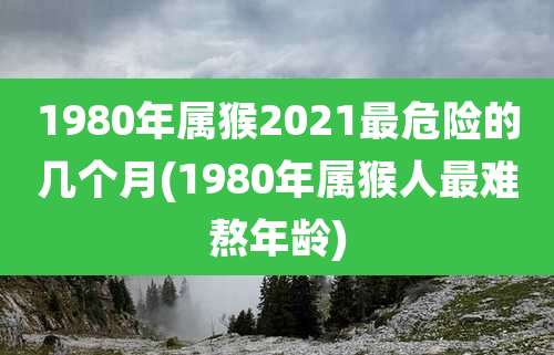 1980年属猴2021最危险的几个月(1980年属猴人最难熬年龄)