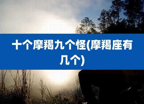 十个摩羯九个怪(摩羯座有几个)