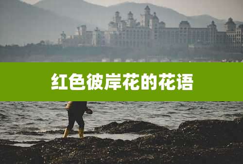 红色彼岸花的花语