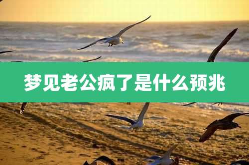 梦见老公疯了是什么预兆