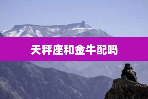 天秤座和金牛配吗