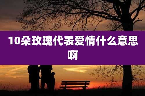 10朵玫瑰代表爱情什么意思啊