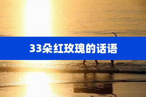 33朵红玫瑰的话语