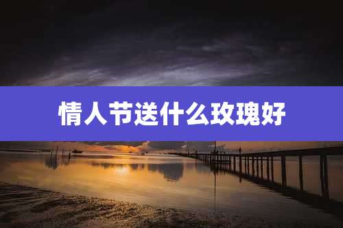 情人节送什么玫瑰好