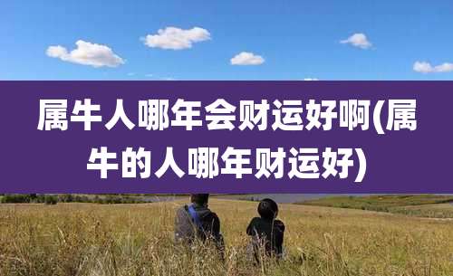 属牛人哪年会财运好啊(属牛的人哪年财运好)