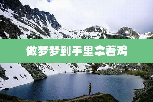 做梦梦到手里拿着鸡