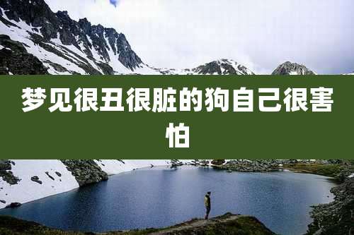 梦见很丑很脏的狗自己很害怕