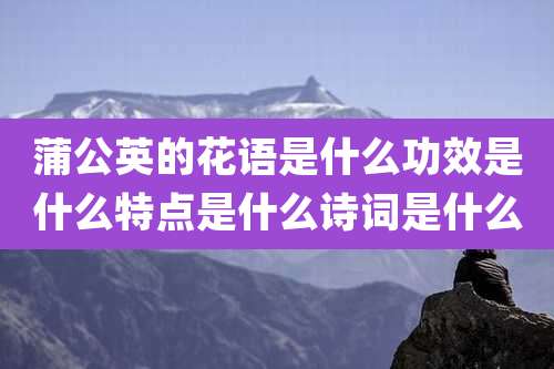 蒲公英的花语是什么功效是什么特点是什么诗词是什么