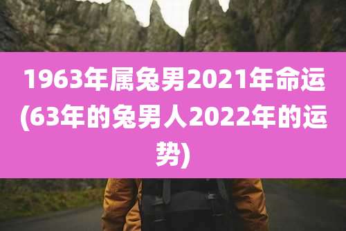 1963年属兔男2021年命运(63年的兔男人2022年的运势)