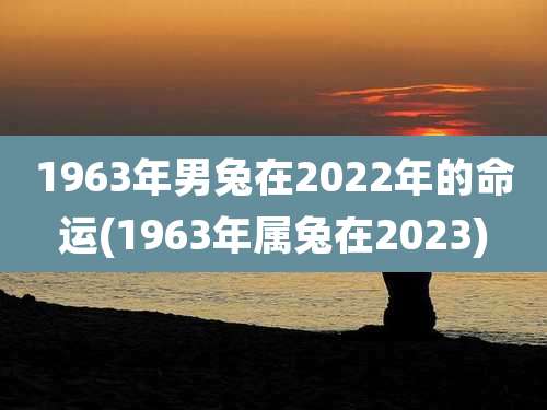 1963年男兔在2022年的命运(1963年属兔在2023)