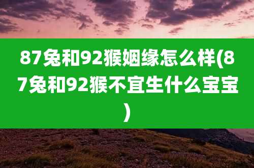 87兔和92猴姻缘怎么样(87兔和92猴不宜生什么宝宝)