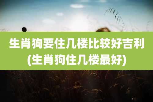 生肖狗要住几楼比较好吉利(生肖狗住几楼最好)
