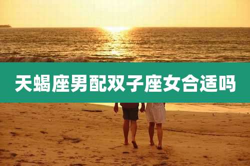 天蝎座男配双子座女合适吗