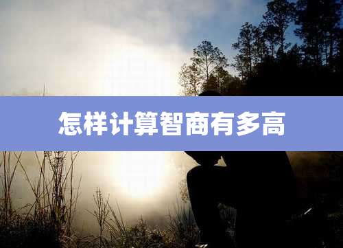 怎样计算智商有多高