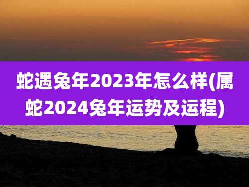 蛇遇兔年2023年怎么样(属蛇2024兔年运势及运程)