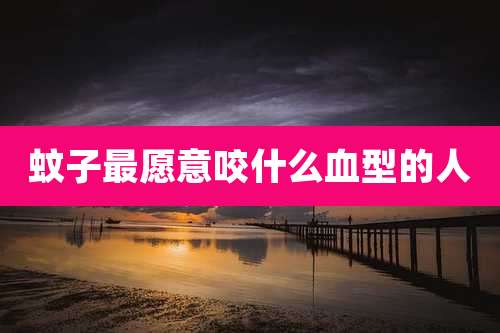 蚊子最愿意咬什么血型的人