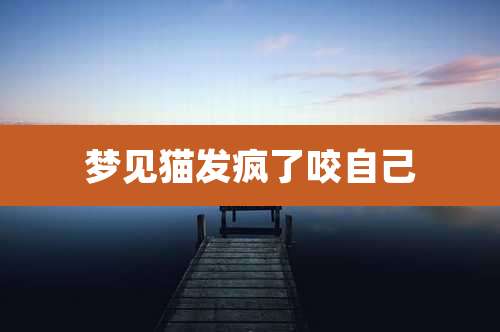 梦见猫发疯了咬自己