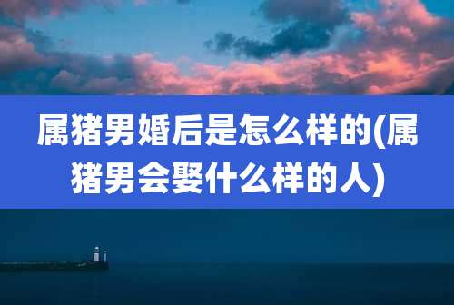 属猪男婚后是怎么样的(属猪男会娶什么样的人)