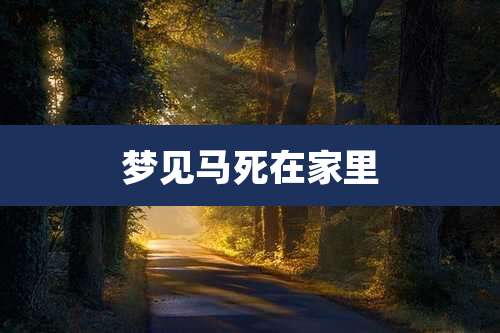 梦见马死在家里